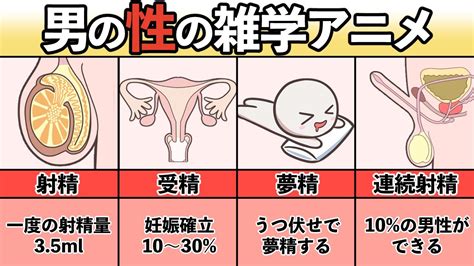 射精のしくみ～精液を放出する驚異のメカニズム 